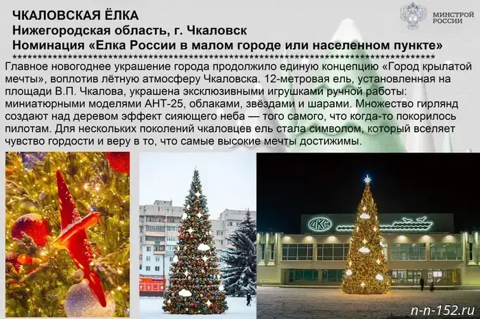 Nizhny Novgorod residents are asked to support the region's New Year's trees in the "Yolki Rossii" contest.