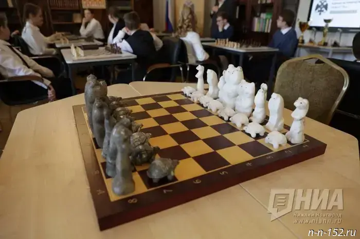 A new RVIO chess club has opened in Nizhny Novgorod.