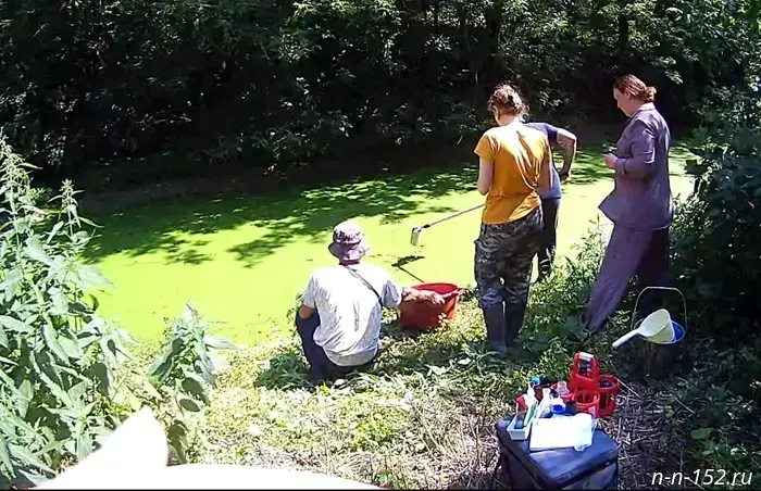 In Nizhny Novgorod Oblast, at the request of Rosprirodnadzor, damage caused to the Umoch River has been compensated.