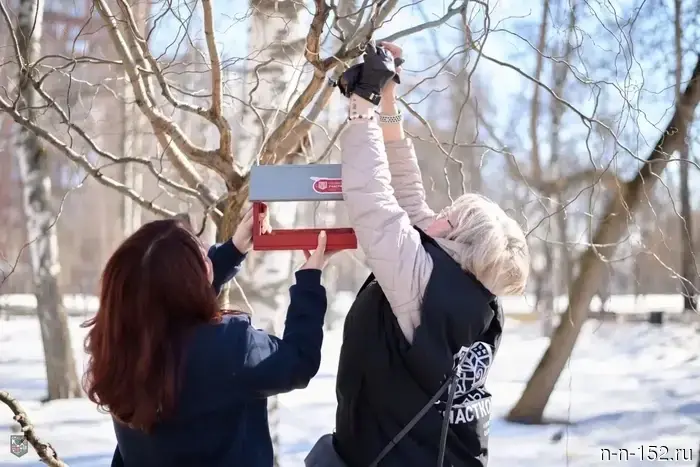 Nizhny Novgorod residents installed more than 100 feeders as part of the social precinct action.
