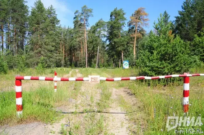 A rabies quarantine has been introduced in a village in the Nizhny Novgorod region.