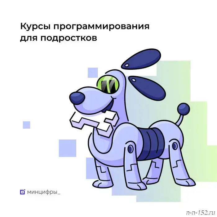 Старшеклассники и студенты колледжей Нижнего Новгорода могут принять участие в бесплатных курсах по программированию в рамках программы «Код будущего».