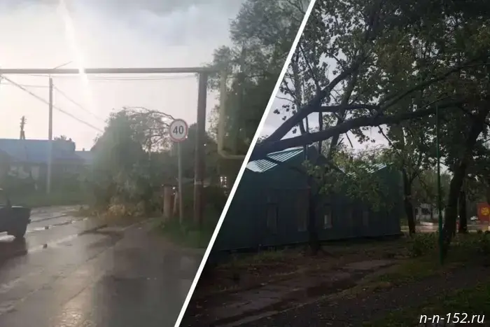 The mayor of Shchelokov spoke about the aftermath of the hurricane in Arzamas.