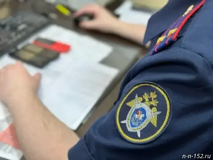 In Nizhny Novgorod, a criminal case has been opened following social media reports of dogs attacking city residents.
