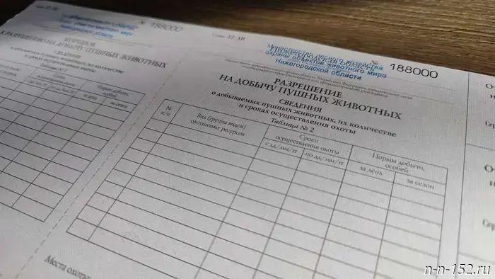 Нижегородский минлесхоз начнет предоставлять охотникам лицензии на добычу пушных животных.
