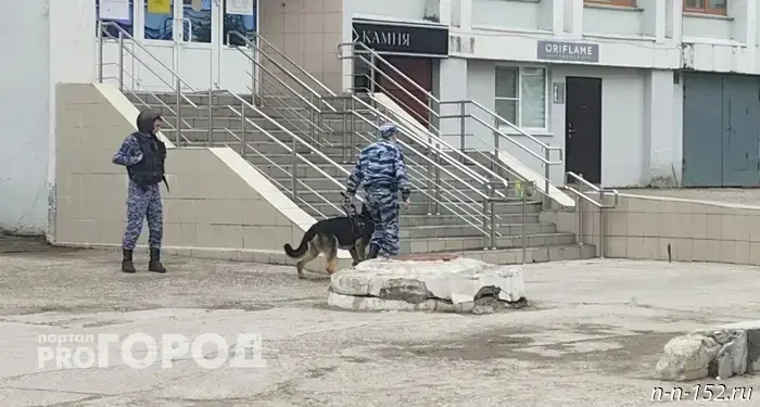 Нижегородец, который вымогал миллион у полиции и хранил оружие в своем доме, был пойман за преступление и теперь проведет 7 лет в тюрьме.
