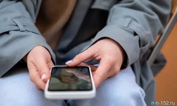Beeline has organized an online number transfer to its network outside the home region.
