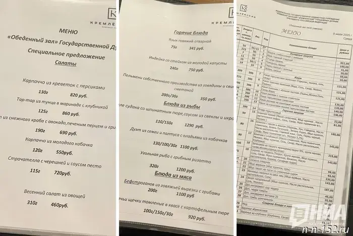 A Day in the State Duma: A Personal Perspective of a Nizhny Novgorod Journalist from the Corridors of Power