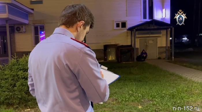 В Нижегородской области подростка обвиняют в убийстве своего сверстника (Видеокомментарий, оперативное видео)