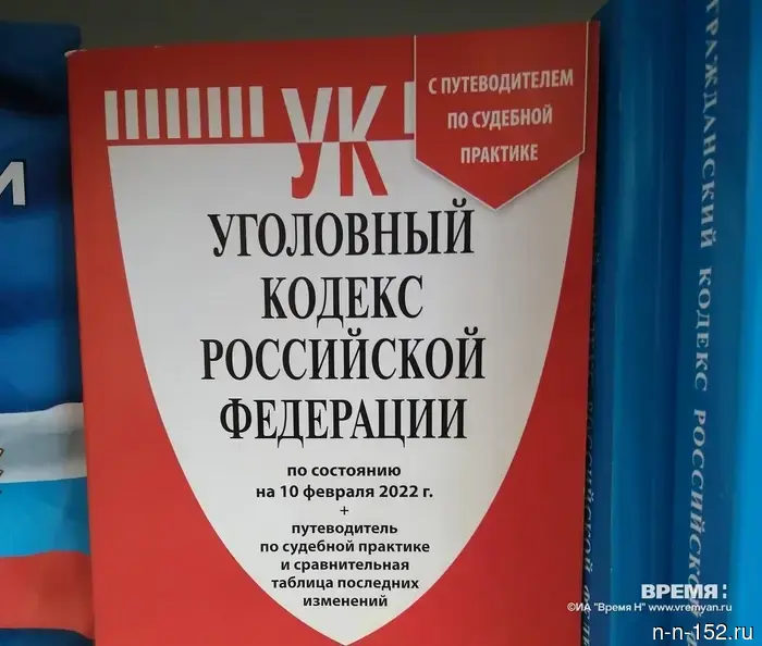 Мужчина оказался на скамье подсудимых за убийство своей сожительницы в Сарове.