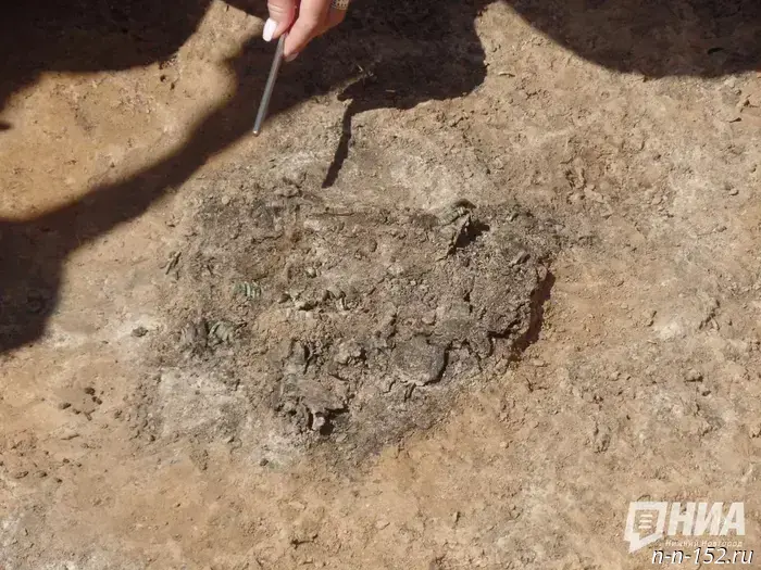 The Vanished People: Archaeologists Continue to Uncover the Secrets of Murama on the Land of Nizhny Novgorod