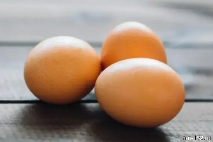 Nizhny Novgorod poultry farm joined the federal project "Labor Productivity"