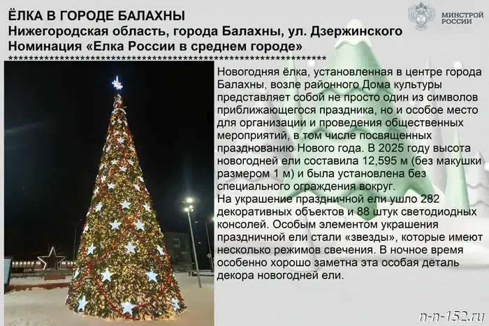 Nizhny Novgorod residents are asked to support the region's New Year's trees in the "Yolki Rossii" contest.