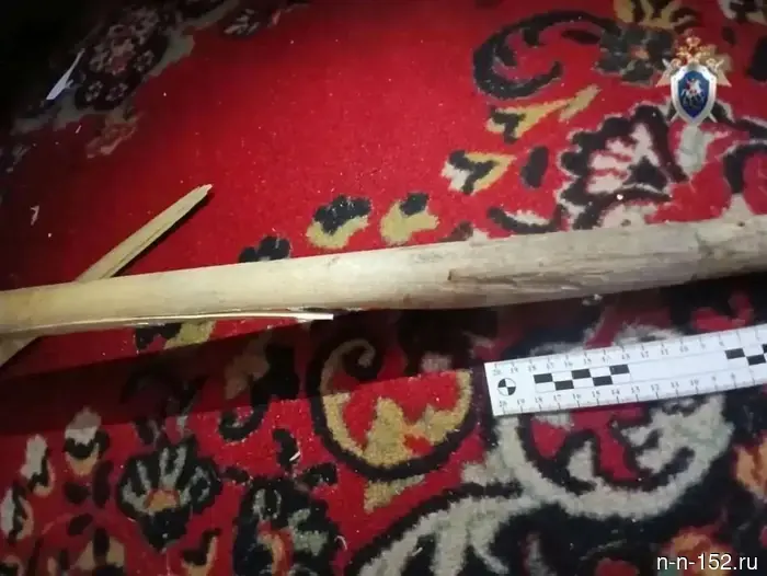A Nizhny Novgorod woman brutally killed an acquaintance using scissors and a shovel handle.