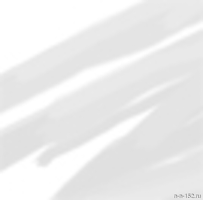 В Шатковском районе Нижегородской области мужчина был признан виновным в убийстве своей снохи, совершённом с особой жестокостью (оперативное видео).