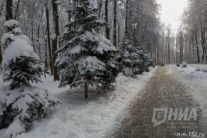 На следующей неделе жителей Нижнего Новгорода ожидают снегопады и похолодание.