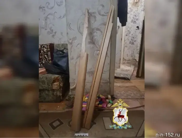 A Nizhny Novgorod resident brutally beat an elderly woman with a door frame.