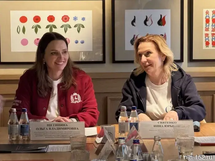 Святенко: "Эффективные практики Нижегородской области стоит рекомендовать для распространения в других регионах."