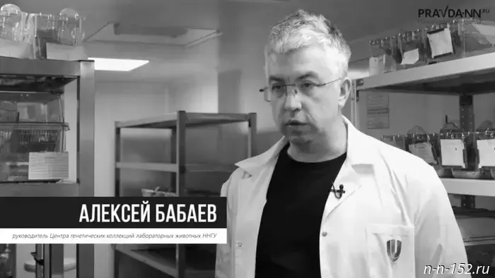 Прощание с доцентом ННГУ Алексеем Бабаевым состоится 3 августа.
