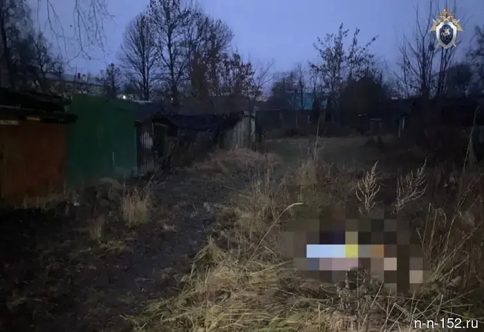 Нижегородец был приговорен к восьми годам строгого режима за жестокое убийство женщины на улице.