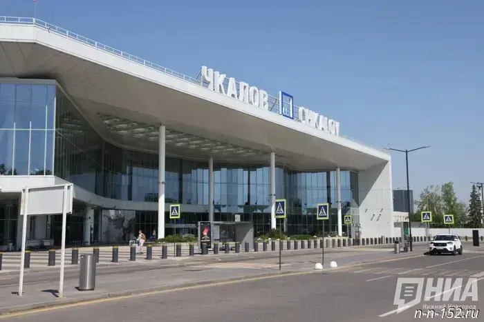 Prohibited goods from Uzbekistan were seized at Nizhny Novgorod airport.
