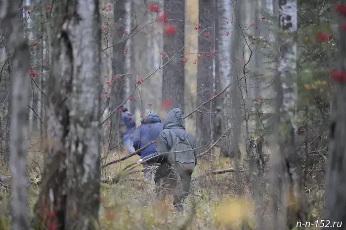 В поисковый отряд в декабре поступило 86 заявок о пропавших нижегородцах.