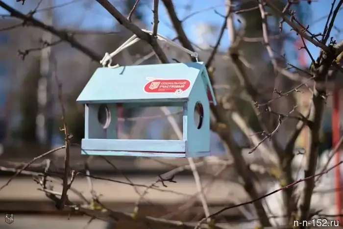 Nizhny Novgorod residents installed more than 100 feeders as part of the social precinct action.