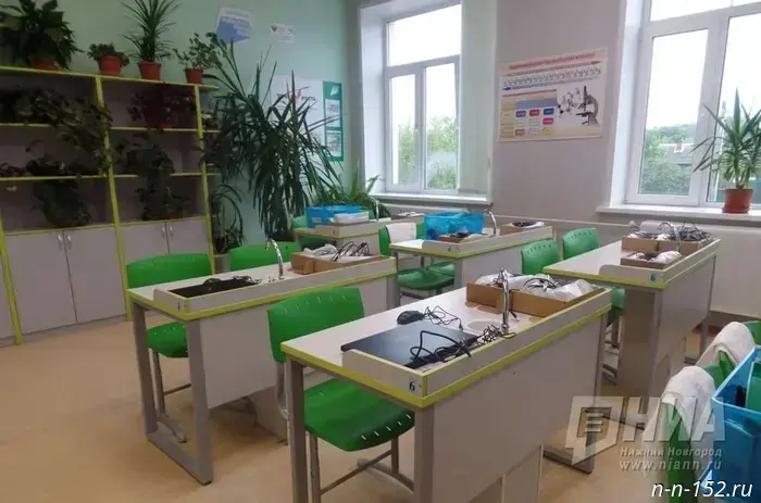 Переход нижегородских школ в систему МАХ с 1 сентября в восприятии специалистов.