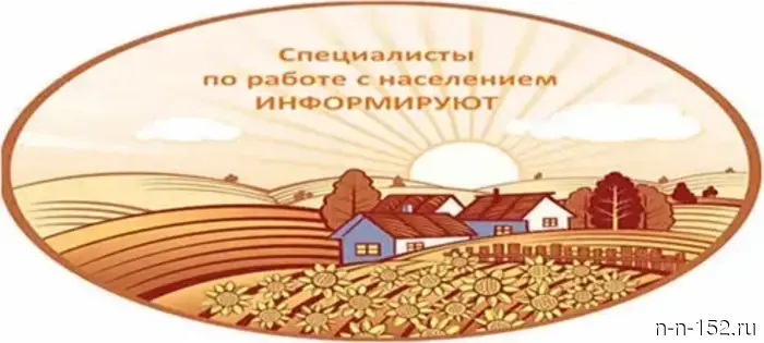 Весенние уборки в субботу