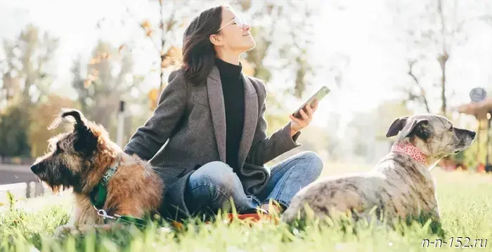Mobile internet was boosted at "Tsvety" in Nizhny Novgorod.