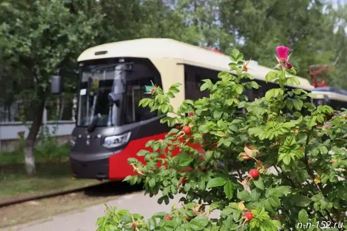 The sociocultural project "First Tram Media" launches in Nizhny Novgorod.