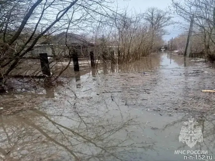 Наводнение затопило территории, жилые дома и дороги в 27 районах Нижегородской области.