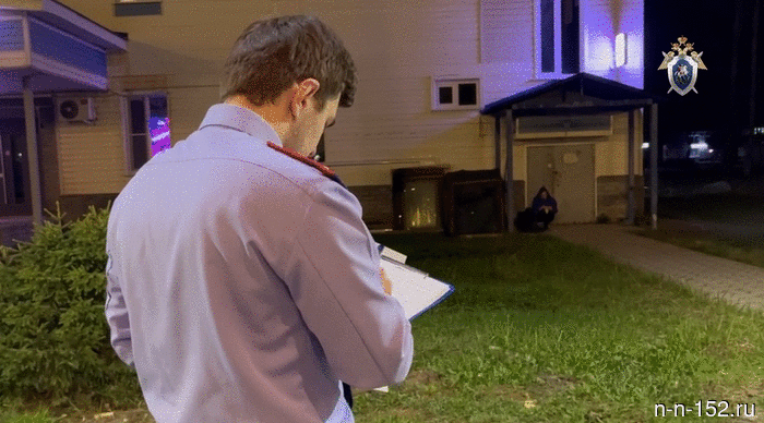 В Нижегородской области подростка обвиняют в убийстве своего сверстника (Видеокомментарий, оперативное видео)