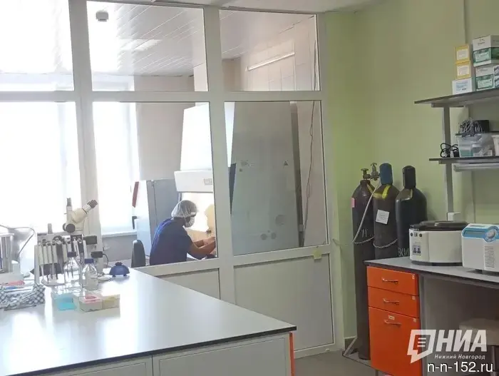 Исследователи ННГУ работают над разработкой методов для сохранения ясности ума до 100 лет.