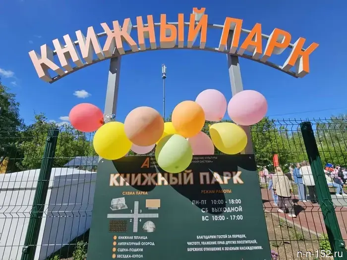 «Книжный парк» в Автозаводском районе подытожил результаты своей первой годовщины.