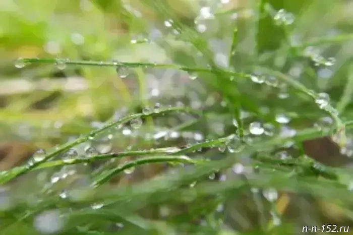 Heavy rain expected!