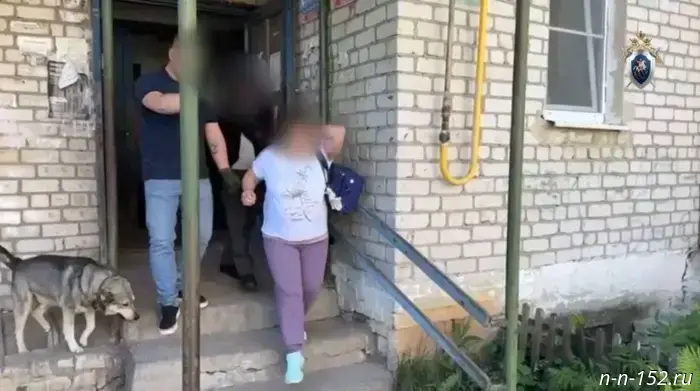 A woman from Nizhny Novgorod was accused of financing a banned organization.