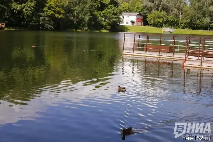 The ponds in the Nizhny Novgorod region have been returned to the state.