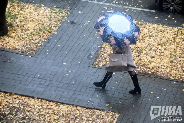 На следующей неделе нижегородцев ожидают дожди и облачная погода.