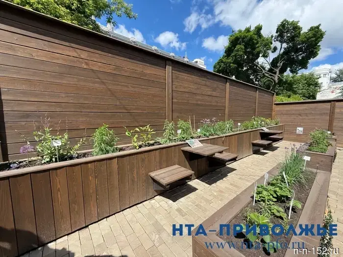 The Apothecary Garden in the "Evenius House" has opened in Nizhny Novgorod.