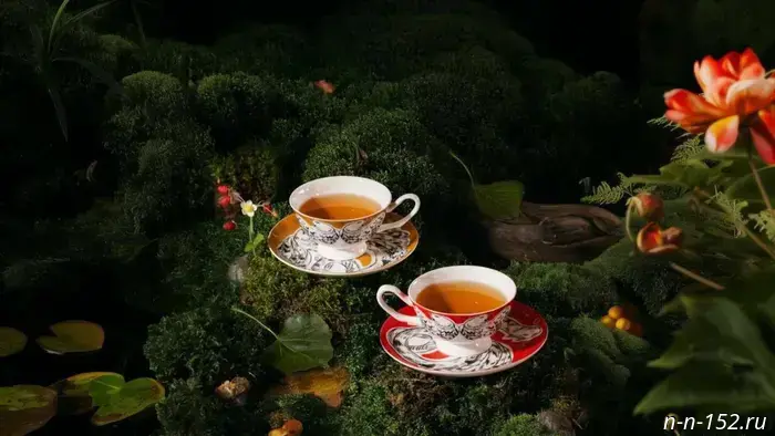 The "Khokhloma" tea with wild strawberry and linden was created in the Nizhny Novgorod region.