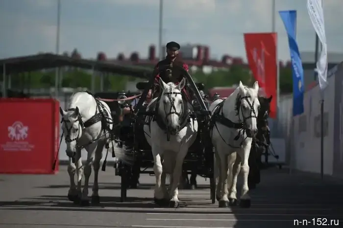 Maria Zakharova rode with Kiselev on a 19th-century Russian troika at the St. Petersburg International Economic Forum.