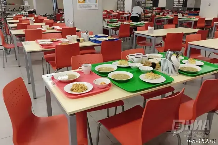 They propose making school meals free throughout the entire period of education.