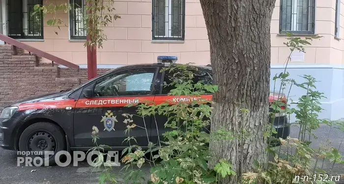 Bastrikin demanded a thorough investigation of two incidents in the Nizhny Novgorod region: a child and a medical worker were injured.