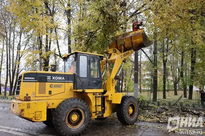 Nizhny Novgorod residents were explained how to identify an emergency tree in their yard.