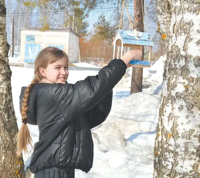 With care for the feathered ones