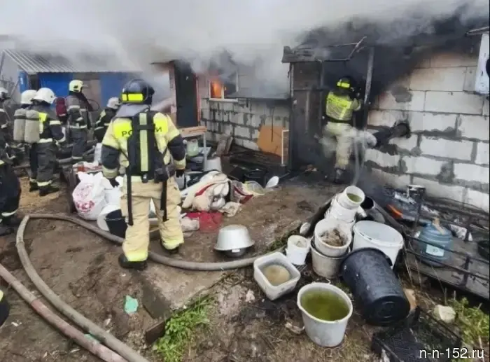 A video of the fire at the Nizhny Novgorod kennel has been published, where hundreds of dogs died.