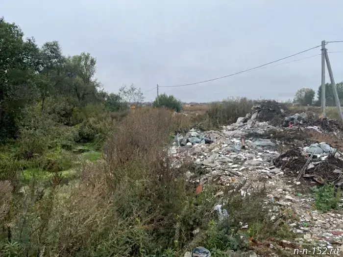 A Nizhny Novgorod resident was fined 1.9 million rubles for dumping construction waste.