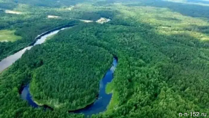 Artificial intelligence will help promptly detect fires and illegal logging in the forests of the Nizhny Novgorod region.