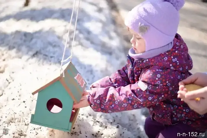 Nizhny Novgorod residents installed more than 100 feeders as part of the social precinct action.